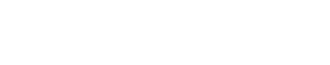 Image of the Branch Support Services LLC logo