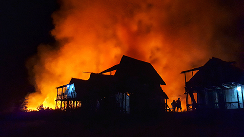 Image of a forest fire